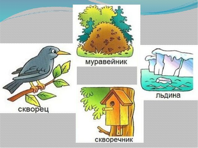 Кто где живёт? Презентация для детей