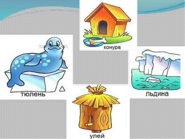 Кто где живёт? Презентация для детей