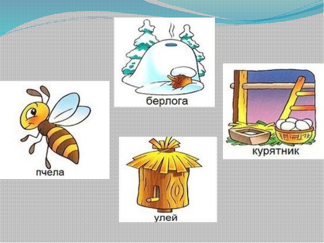 Кто где живёт? Презентация для детей