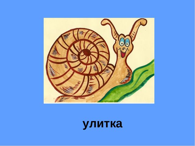 Артикуляционные признаки звуков Ж - Ш (для детей старшего дошкольного возраста с ОВЗ)