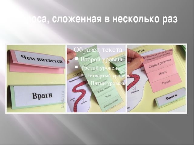 Лэпбук-это особая форма организации познавательно-исследовательской деятельности дошкольников