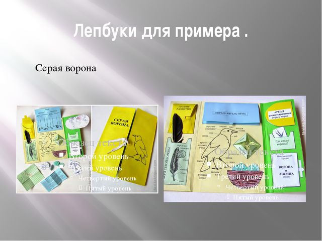 Лэпбук-это особая форма организации познавательно-исследовательской деятельности дошкольников
