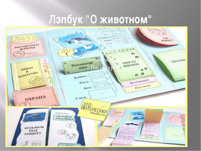 Лэпбук-это особая форма организации познавательно-исследовательской деятельности дошкольников