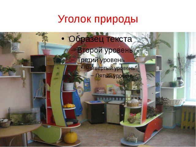 Предметно-развивающая среда в подготовительной группе. Презентация