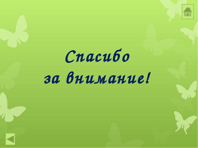 Домашние животные и их детёныши. Презентация