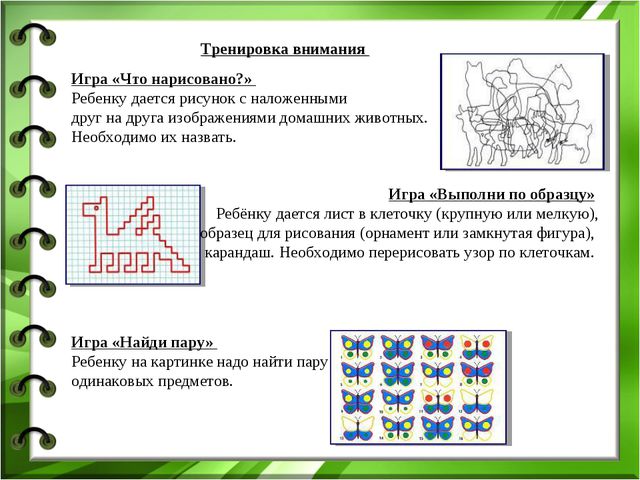 Интеллектуальная готовность к школе