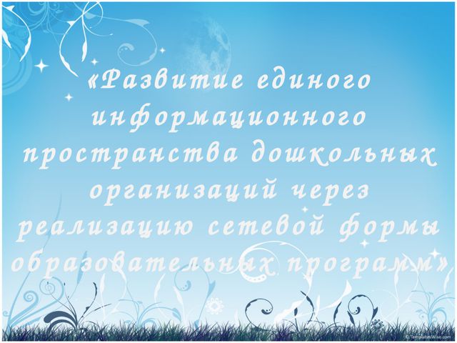 Сетевое образование в ДОУ