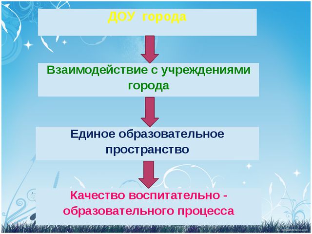 Сетевое образование в ДОУ