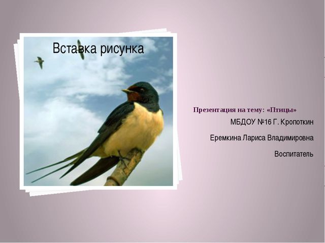 Птицы. Презентация для дошкольников