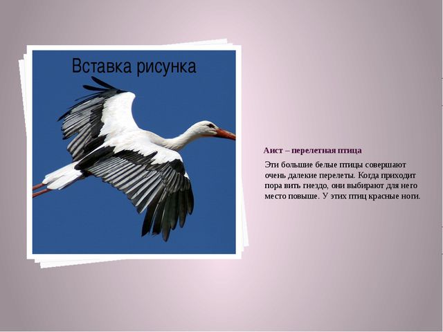 Составьте и запишите план текста из трех пунктов аист у многих народов считается птицей