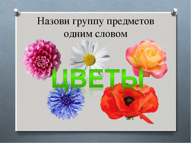 Найди лишние предметы