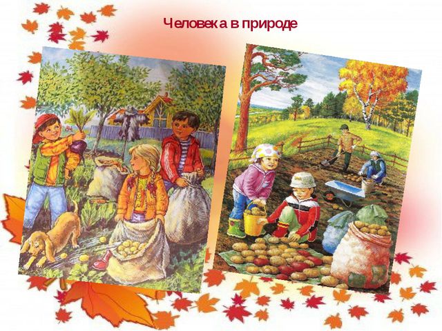 Осень. младший дошкольный возраст