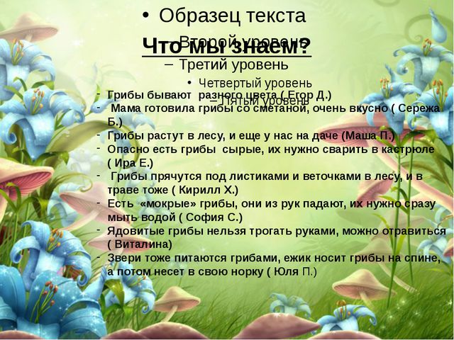 Царство грибов. Презентация