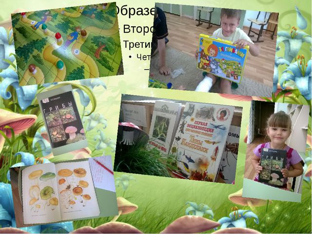 Царство грибов. Презентация