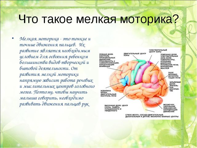 Развитие мелкой моторики посредством тестопластики у детей младшего дошкольного возраста