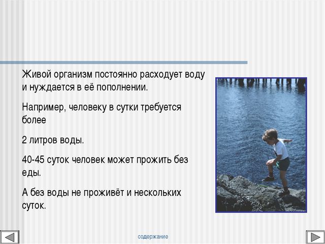 Мир вокруг нас