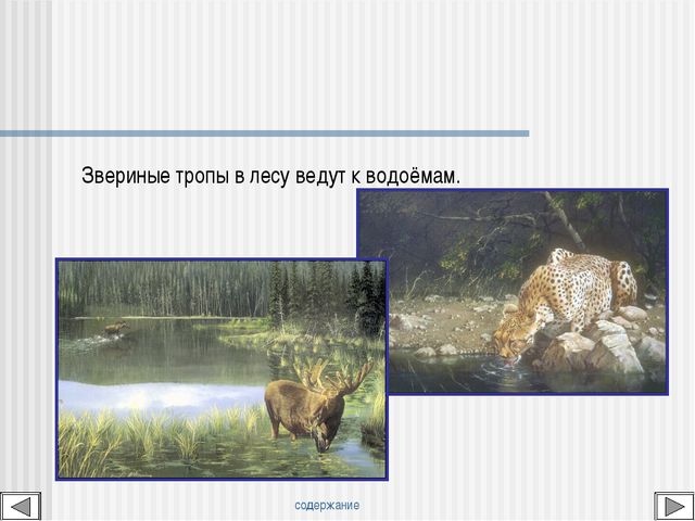 Мир вокруг нас