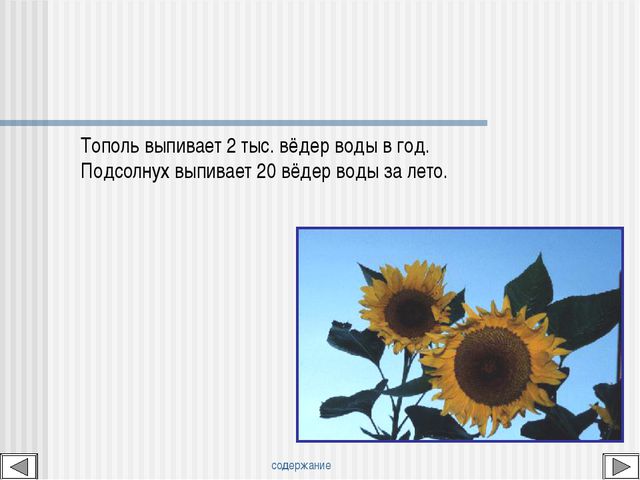Мир вокруг нас