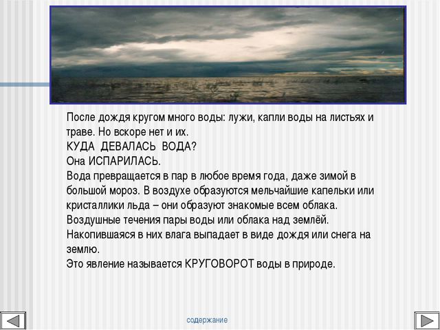 Мир вокруг нас