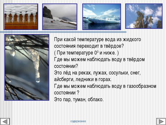 Мир вокруг нас