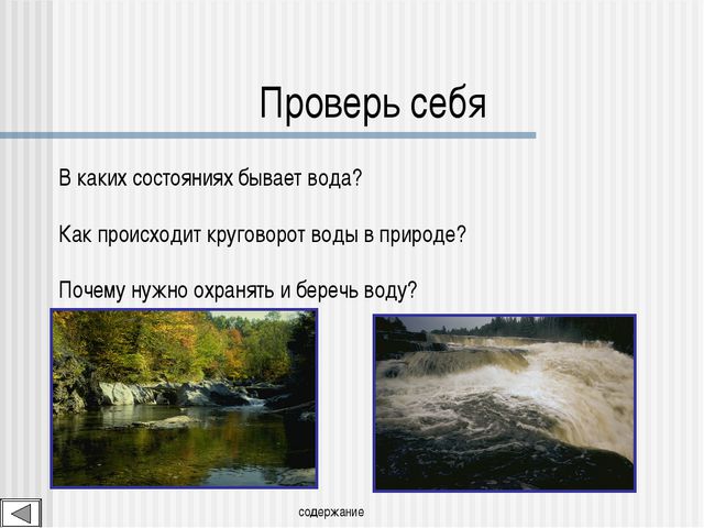 Мир вокруг нас