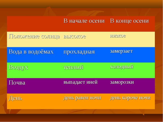 Презентация по окружающему миру в средней группе