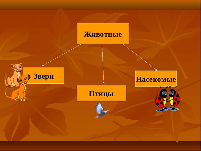 Презентация по окружающему миру в средней группе