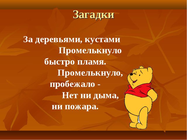 Презентация по окружающему миру в средней группе