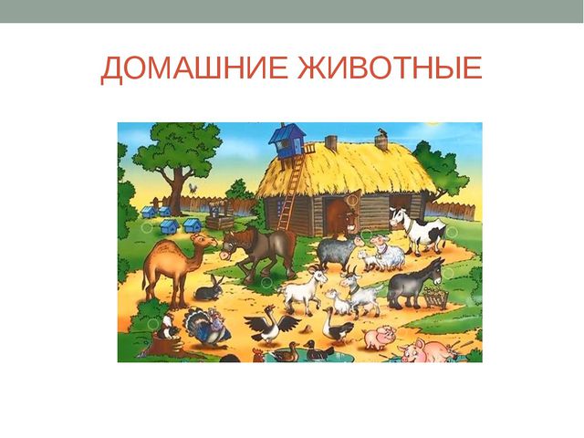 Домашние животные. Презентация для детей младшей группе