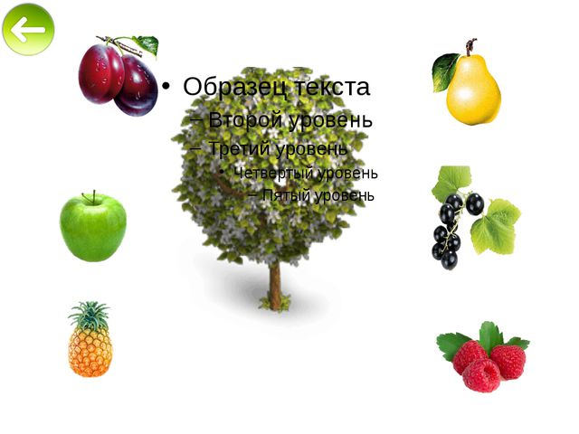 Овощи и фрукты. Презентация в средней группе