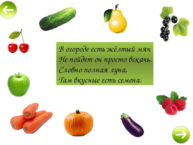 Овощи и фрукты. Презентация в средней группе