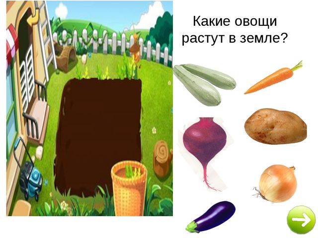 Овощи растут на грядке картинки для детей