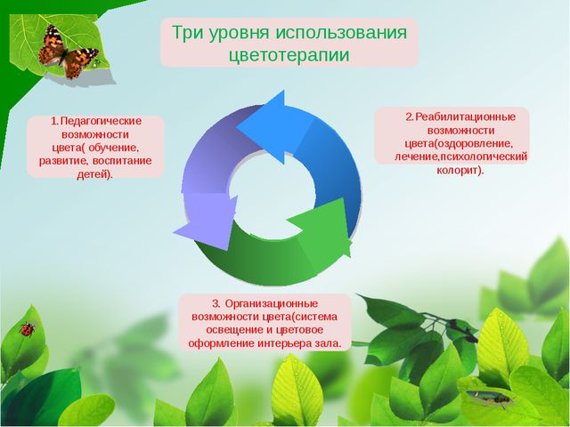 Использование элементов. Педагогические возможности цветы.