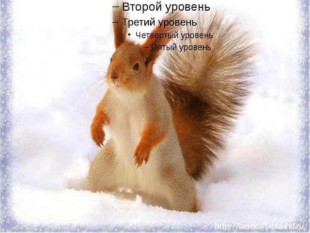 Лесная прогулка. Презентация для детей