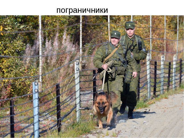 Презентация для детей ко Дню Защитника Отечества