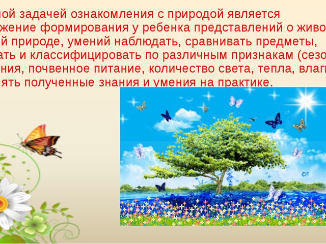 К значениям природы относится. Летние изменения в живой природе. Сезонные изменения в природе летом. Летние изменения в неживой природе. Изменения в живой и неживой природе летом.