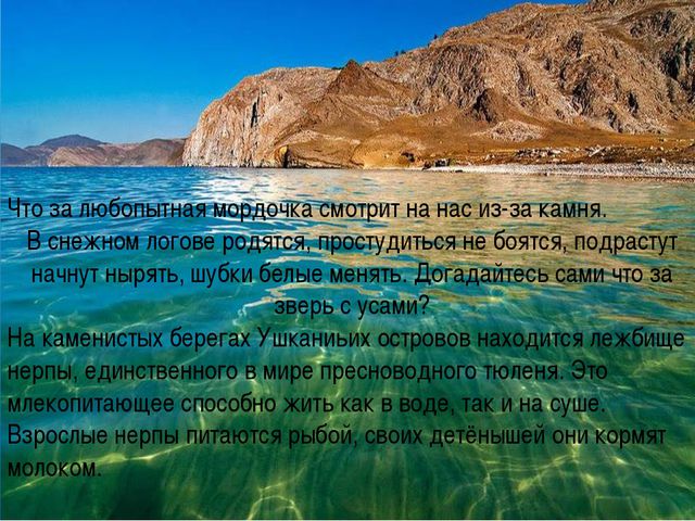 Презентация для дошкольников. Озеро Байкал