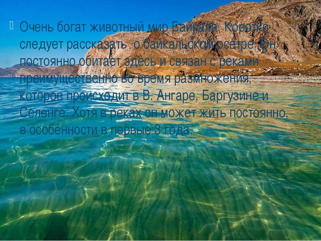 Презентация для дошкольников. Озеро Байкал