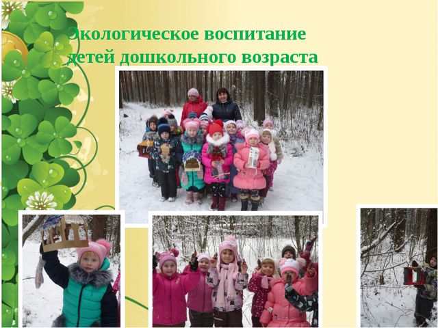 Дидактические экологические игры