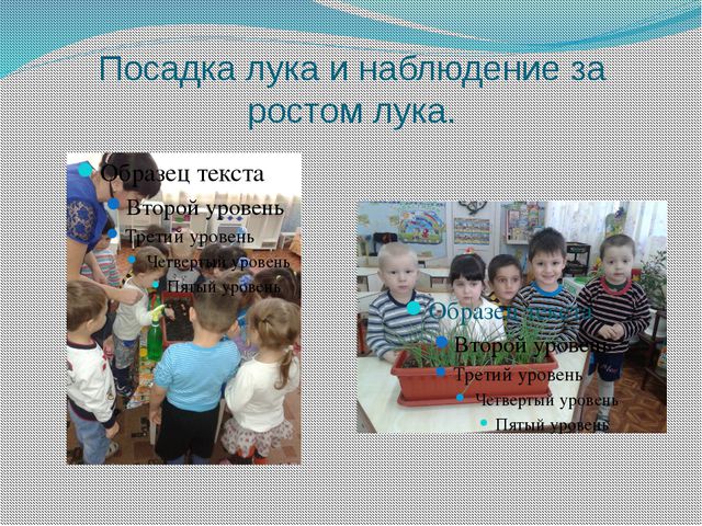 Витамины растут на грядке. Проектная деятельность в младшей группе