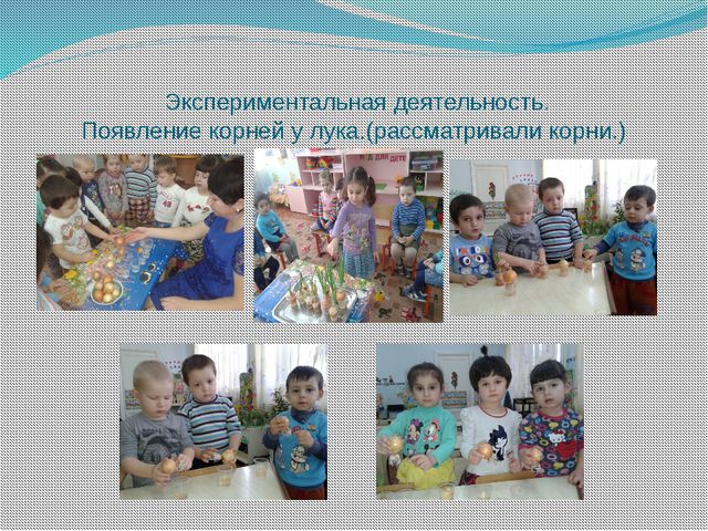 Витамины растут на грядке. Проектная деятельность в младшей группе