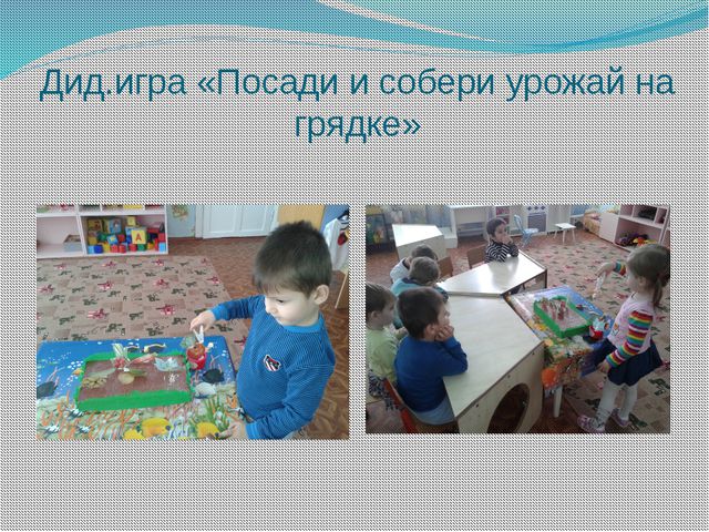 Витамины растут на грядке. Проектная деятельность в младшей группе