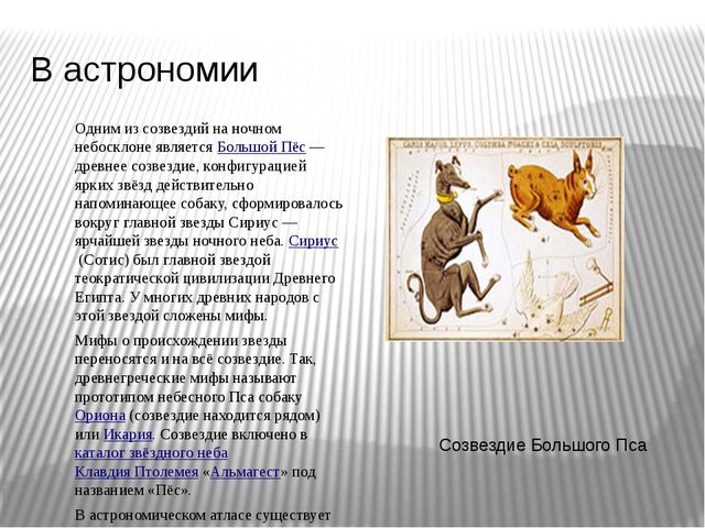 Наши верные друзья. Презентация для детей