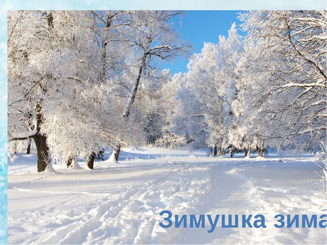 Зимующие птицы. Презентация по ознакомлению детей с окружающим миром