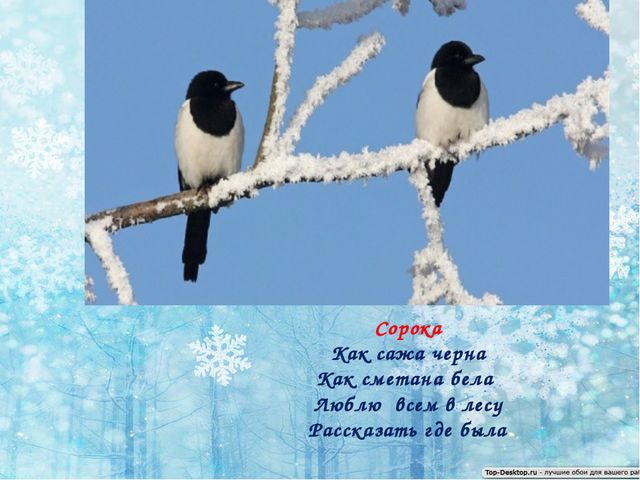 Зимующие птицы. Презентация по ознакомлению детей с окружающим миром