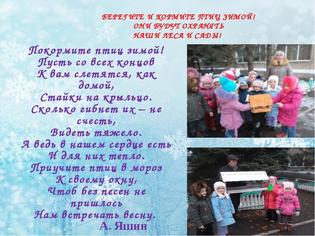 Зимующие птицы. Презентация по ознакомлению детей с окружающим миром