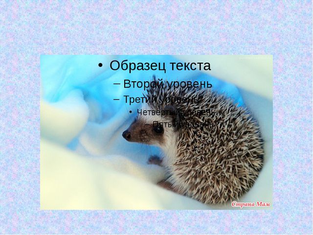 Дикие животные зимой. Презентация для детей