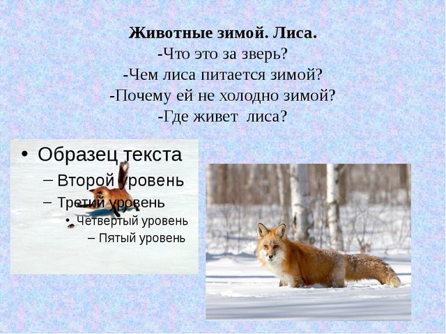 Дикие животные зимой. Презентация для детей