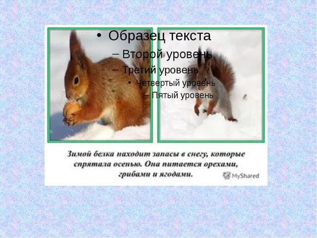 Дикие животные зимой. Презентация для детей