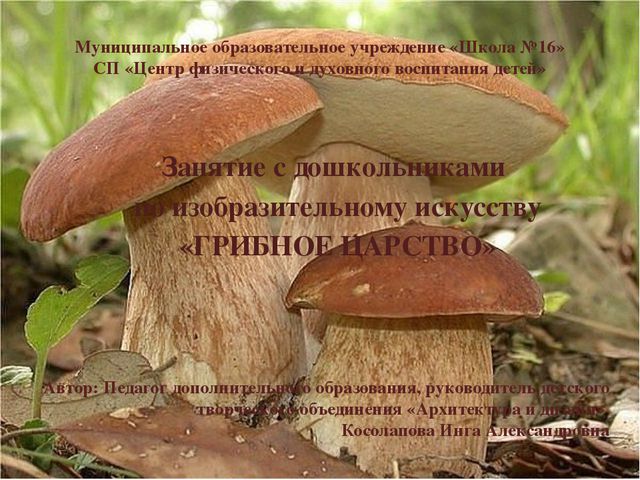 Презентация для детей. Грибное царство